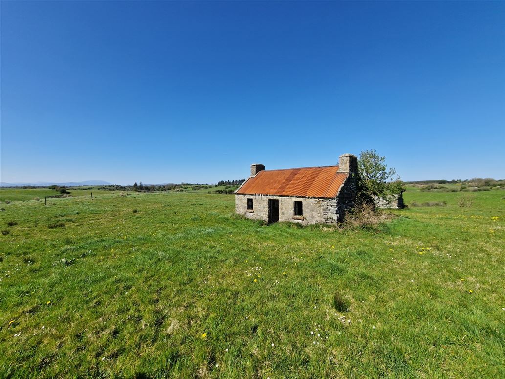 Faheens, Swinford, Co. Mayo