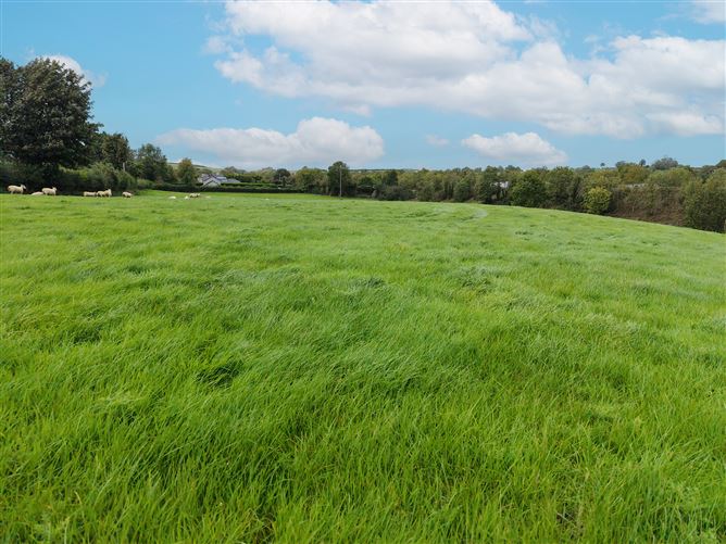 Cloughvalley, Carrickmacross, Monaghan