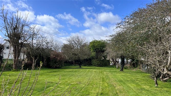 The Orchard, Main St, Dunleer, Louth