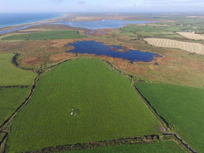 Tacumshane, Wexford