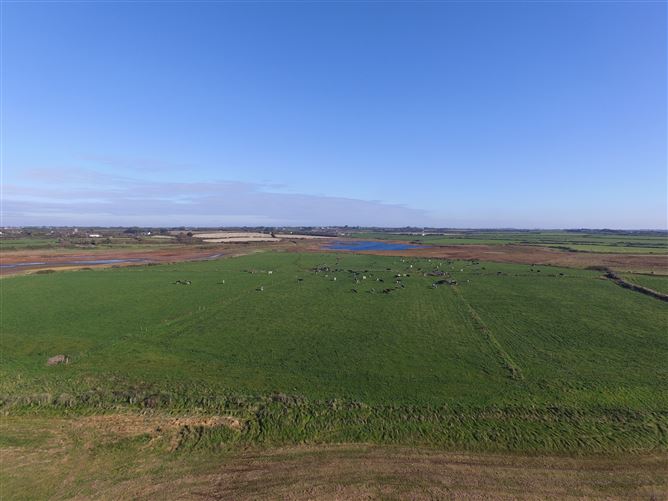 Tacumshane, Wexford