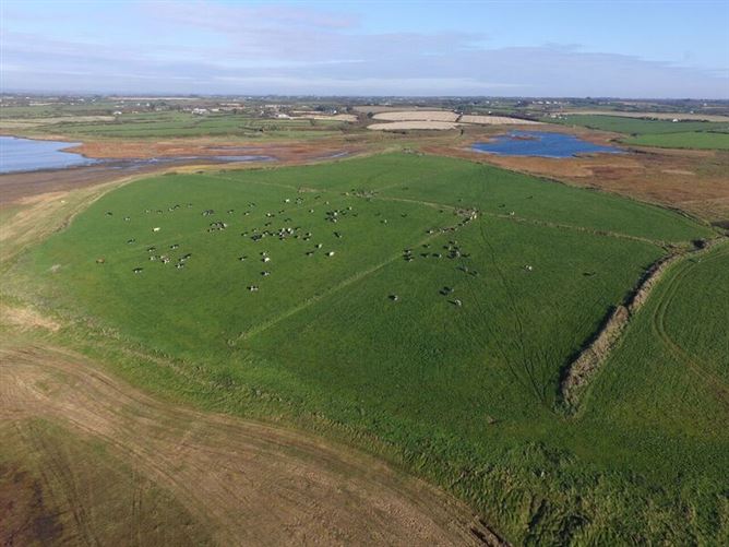 Tacumshane, Wexford