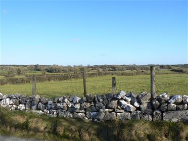 Ballybane, Colmanstown, Co.Galway