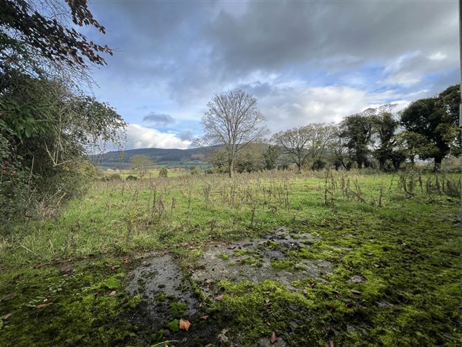 Thorney Bridge, Lisnatubrid, Clonmel, County Tipperary