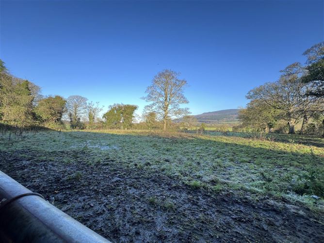 Thorney Bridge, Lisnatubrid, Clonmel, County Tipperary