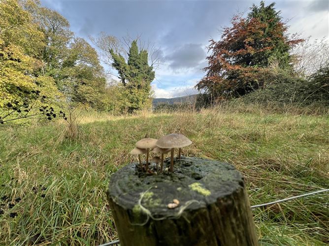 Thorney Bridge, Lisnatubrid, Clonmel, County Tipperary
