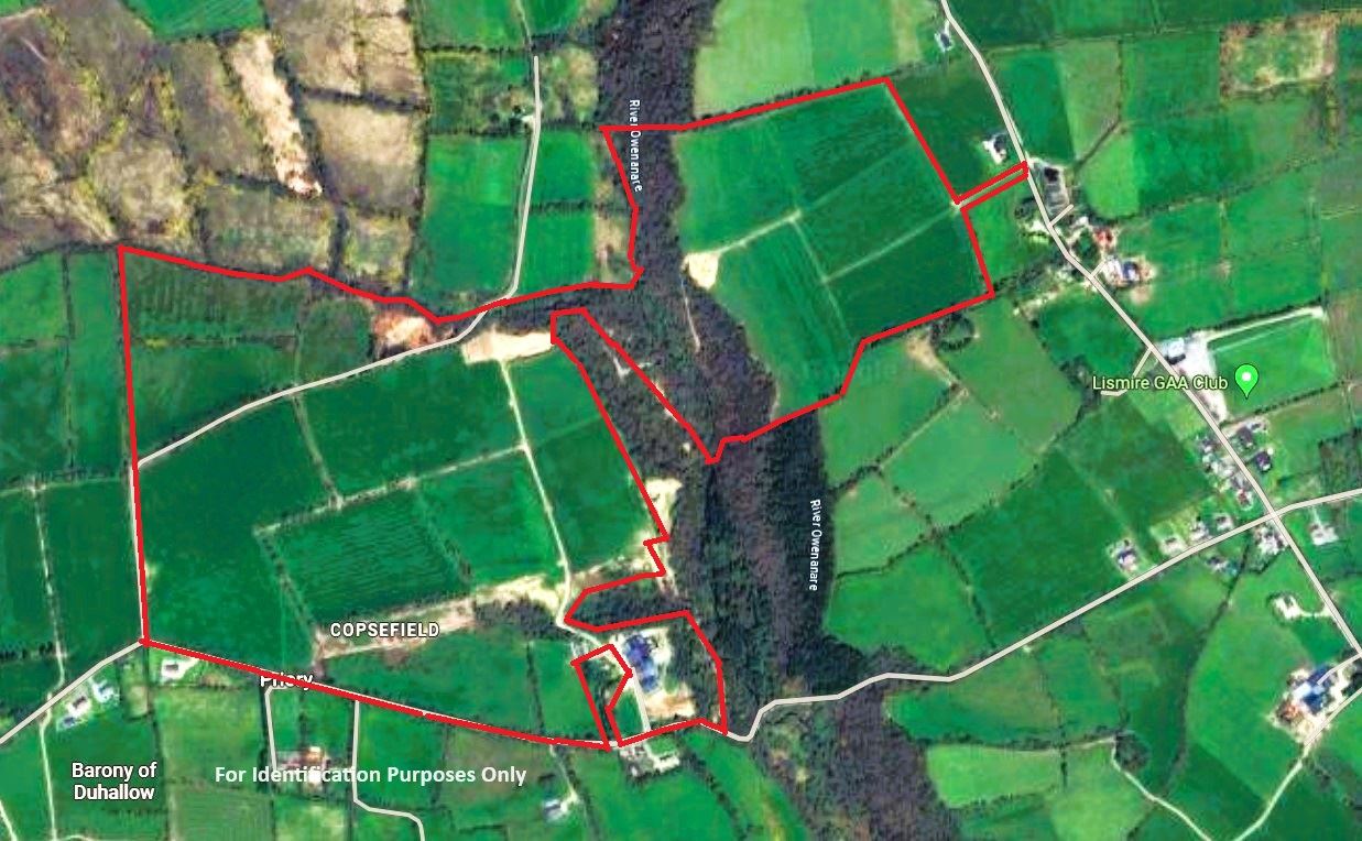 Lands Copsfield, Lismire, Newmarket, Cork