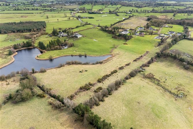 7.57 Acres at Ballinvalley, Delvin, Westmeath