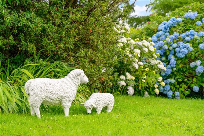 Cuilmore, Foxford, Co. Mayo