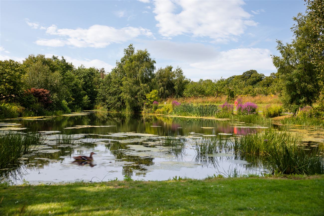 Beckett Woods, Foxrock, Dublin