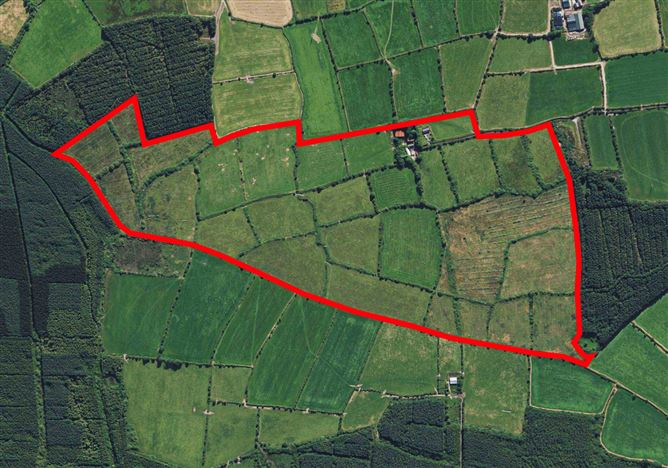 Ballinlammy, Glenmore, Kilkenny