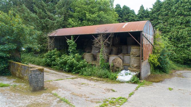 Ballinlammy, Glenmore, Kilkenny