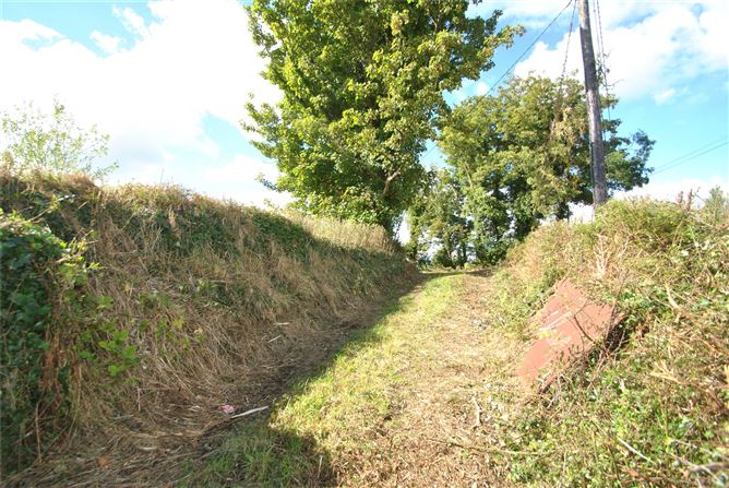 Approx 1.09 Acres & Cottage, Montevideo Road, (Clybanane), Roscrea, Co. Tipperary