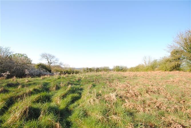 Approx 1.09 Acres & Cottage, Montevideo Road, (Clybanane), Roscrea, Co. Tipperary