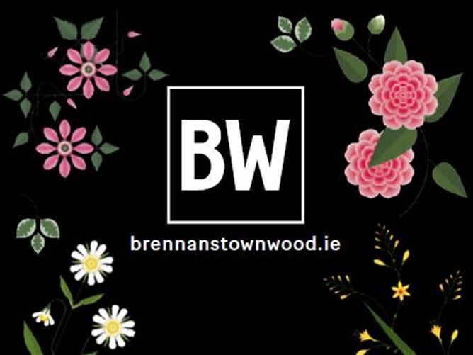 Brennanstown Wood, Cabinteely, Dublin 18