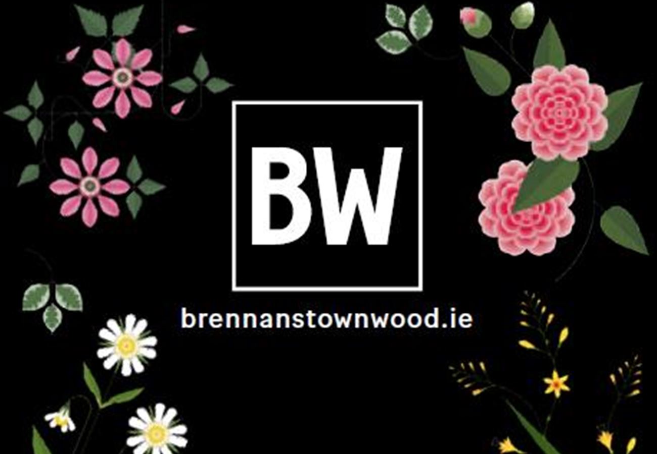 Main image for Brennanstown Wood, Cabinteely, Dublin 18