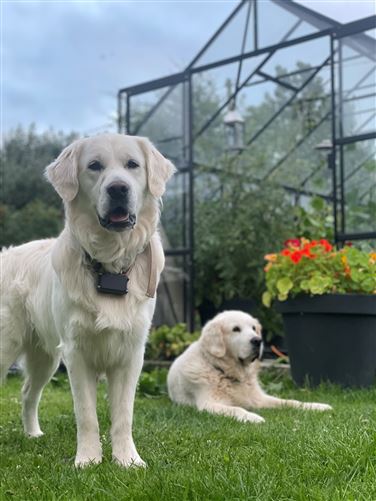 Blackhall, Calverstown, Kilcullen, Kildare