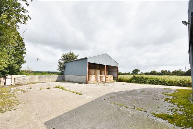 15.6 Acres at Coolagown, Listowel, Co. Kerry