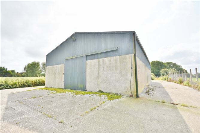 15.6 Acres at Coolagown, Listowel, Co. Kerry