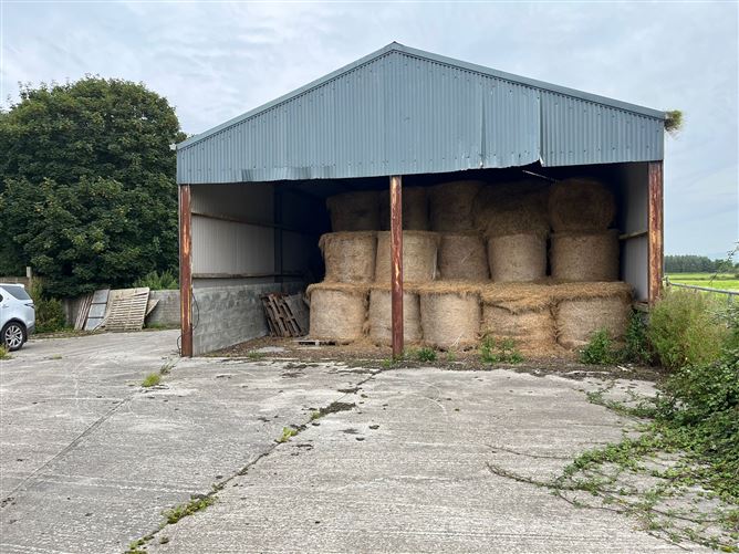 15.6 Acres at Coolagown, Listowel, Co. Kerry