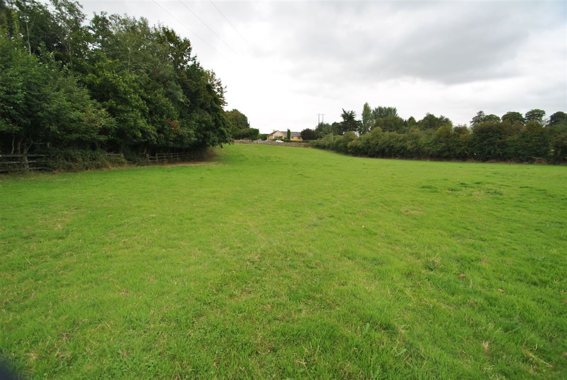 Approx. 5.93 Acres/2.39 Hectares, Corville, Roscrea, Co. Tipperary
