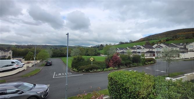 91 Ardglass, Baltinglass, Wicklow