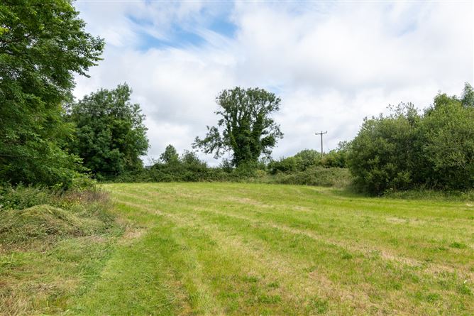 Cloonfad, Rooskey, Co. Roscommon