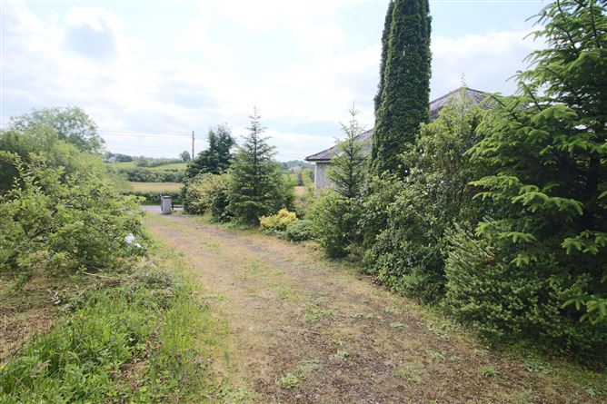 Shancurry, Drumshanbo, Co. Leitrim