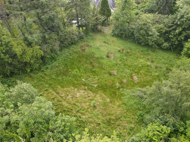 Shancurry, Drumshanbo, Co. Leitrim