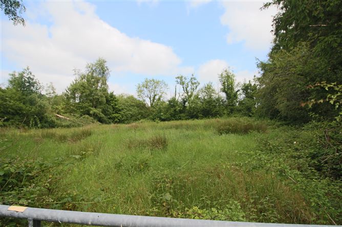 Shancurry, Drumshanbo, Co. Leitrim