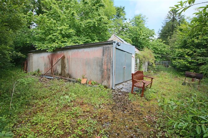 Shancurry, Drumshanbo, Co. Leitrim