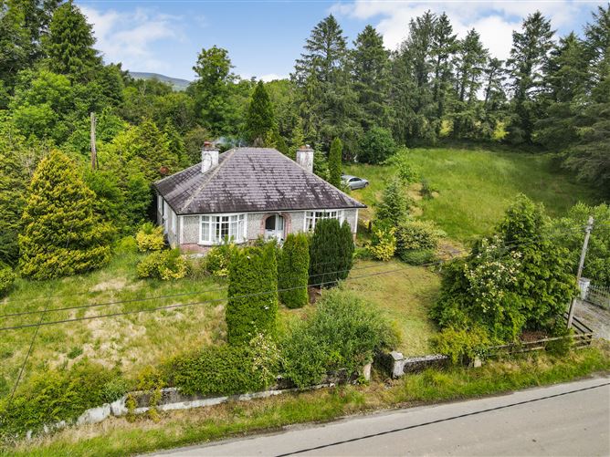 Shancurry, Drumshanbo, Co. Leitrim