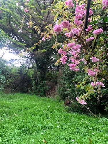 3 Newcastle Park, Newcastle, Galway City