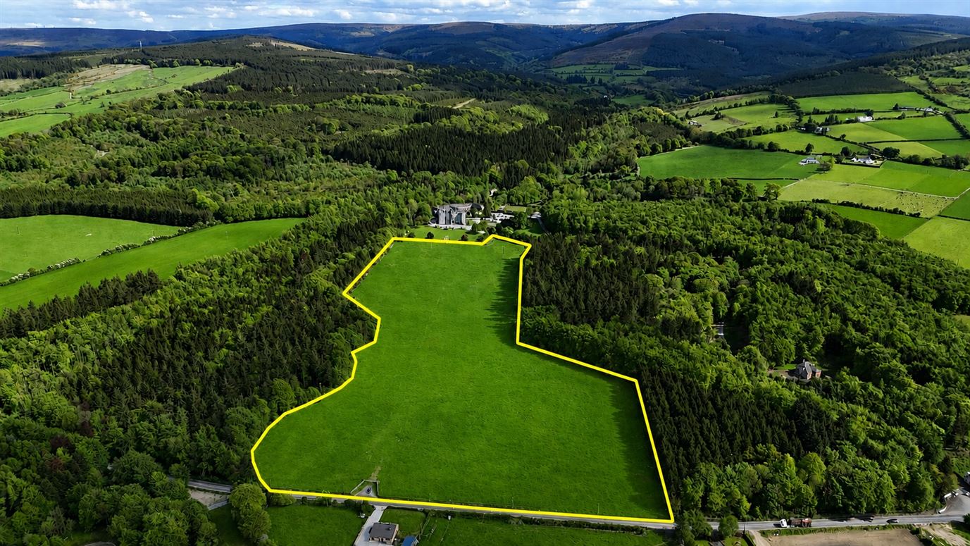 21 Acres (approx.) at Kinnitty Castle, Castletown, Birr, Co. Offaly