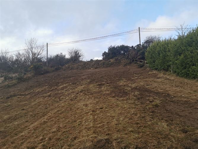 9 Ballagh Cove, The Ballagh, Wexford