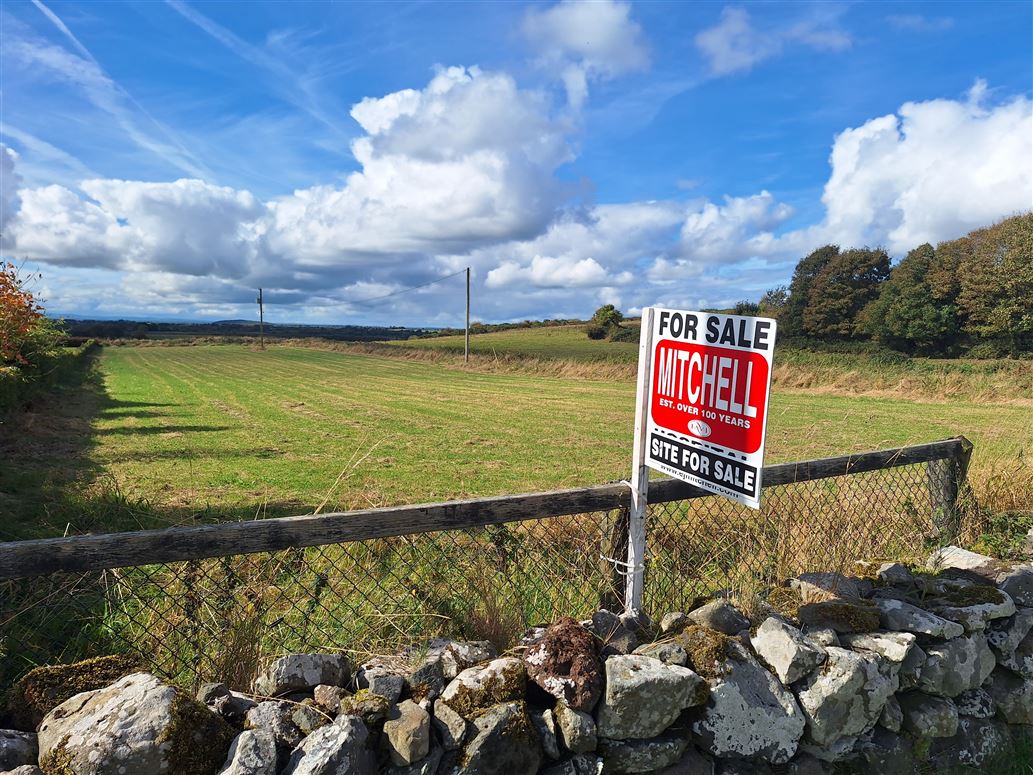 Old Road Grange, Bruff, Limerick