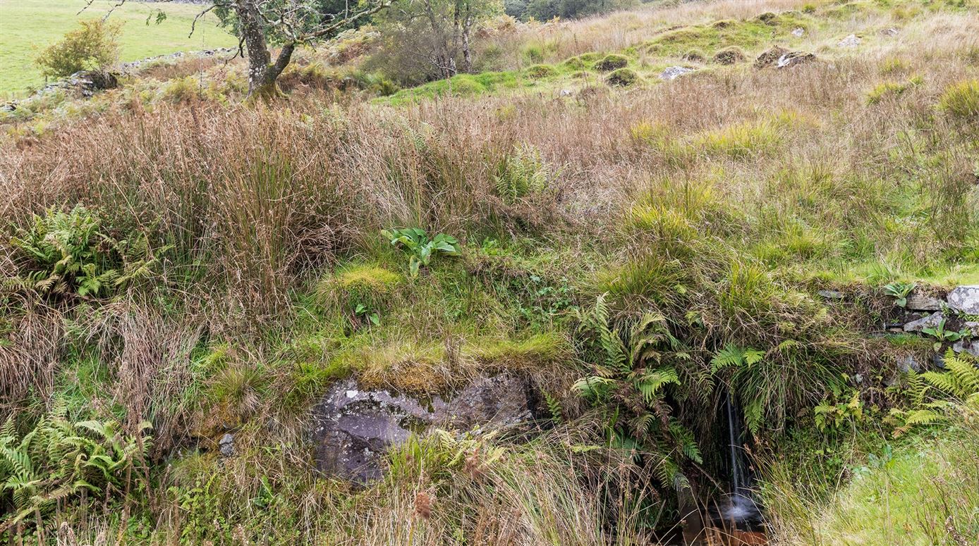Mountain Mystique,Bontddu, Gwynedd, Wales