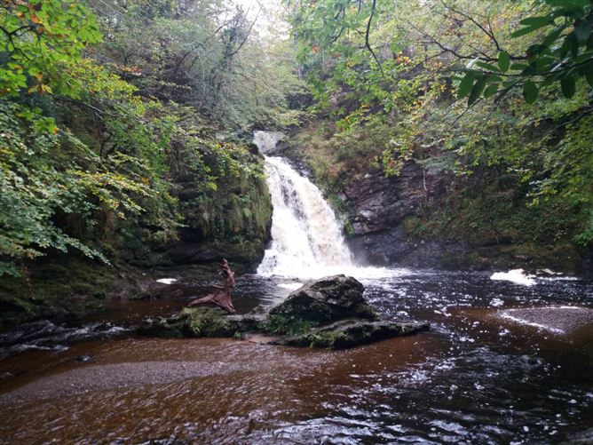 Reed Warbler Cottage,Vacation Rental in Mayo, Ireland
