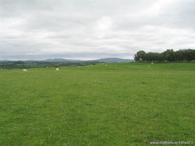 Usk, Colbinstown, Dunlavin, Co. Wicklow