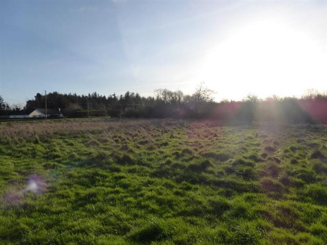 Monassa, Callan, County Kilkenny