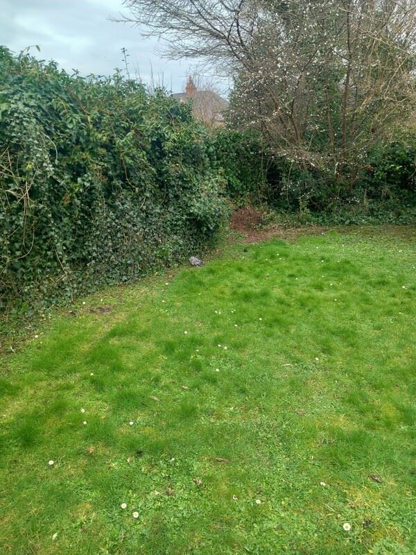 Single room to let in nice area, Dublin 6W, Dublin