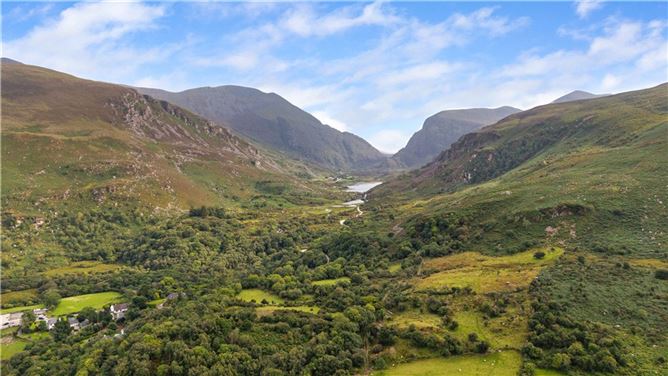 Alder, Dunloe Upper, Beaufort, Killarney, Co. Kerry