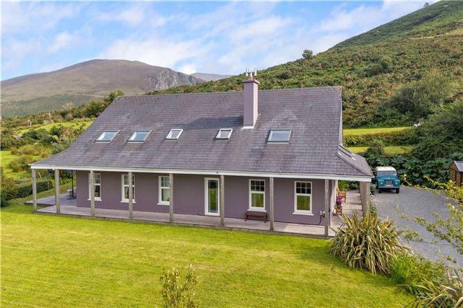Alder, Dunloe Upper, Beaufort, Killarney, Co. Kerry