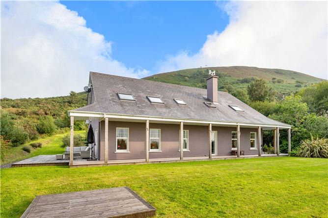 Alder, Dunloe Upper, Beaufort, Killarney, Co. Kerry