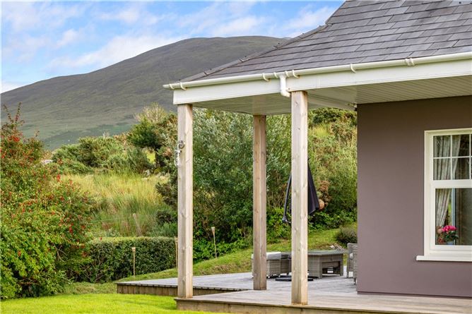 Alder, Dunloe Upper, Beaufort, Killarney, Co. Kerry