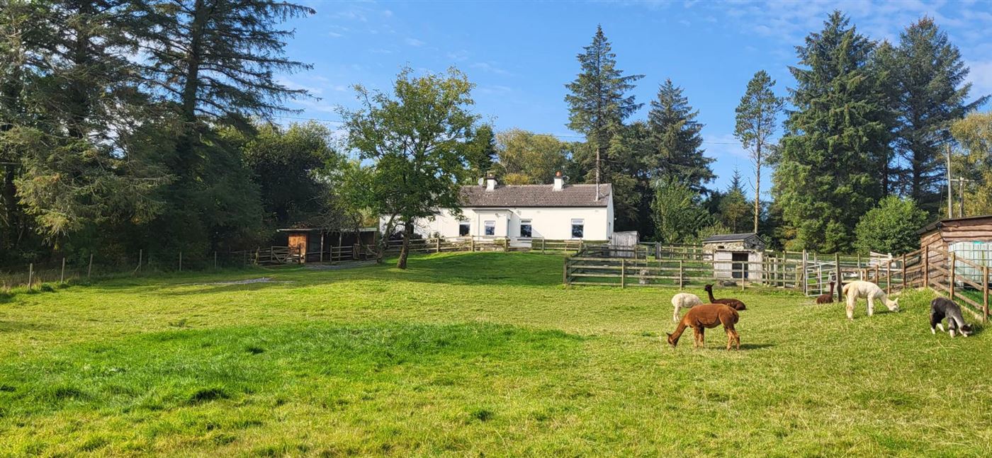 Curraduff Farm, Curraduff, Oughterard, County Galway