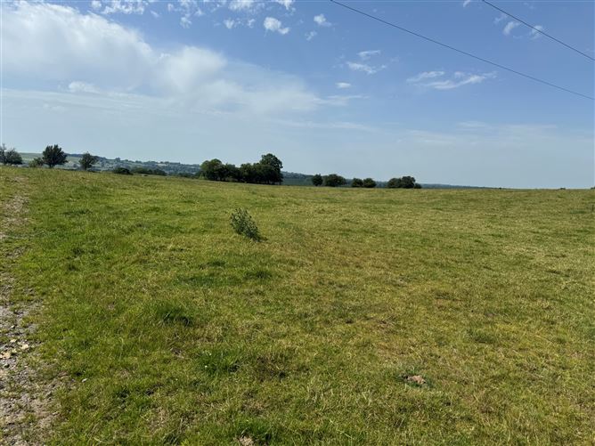 Land c. 49 Acres - 19.82 HA., Mullycagh Upper, Donard, Wicklow