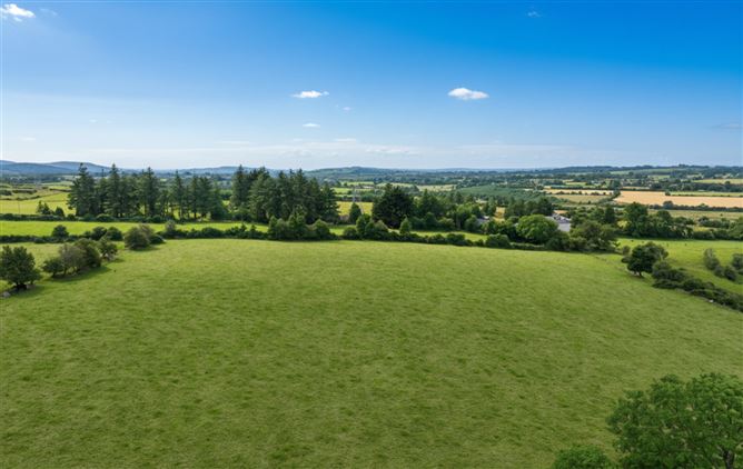 Land c. 49 Acres - 19.82 HA., Mullycagh Upper, Donard, Wicklow