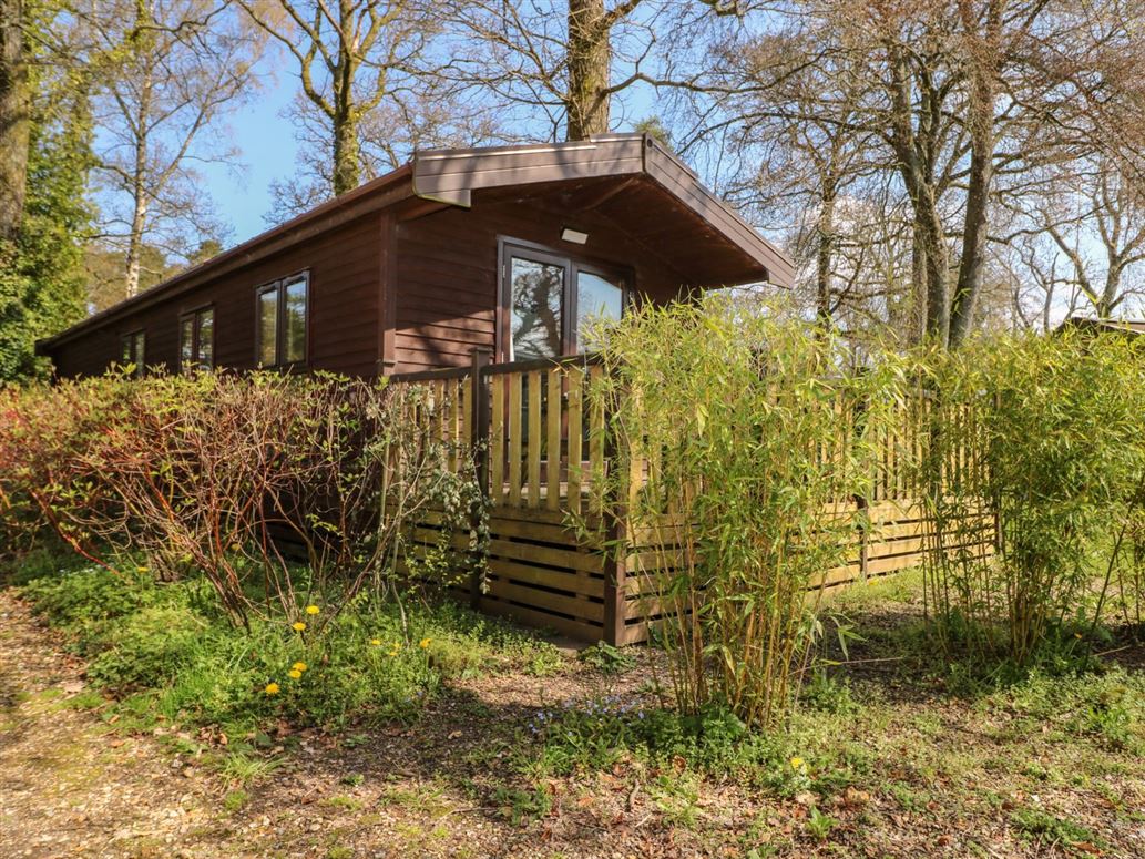 Pinecone Cabin,Godshill, Hampshire, United Kingdom