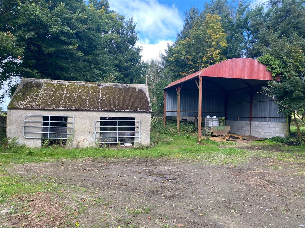 Mount Kelly, Rathvilly, Carlow